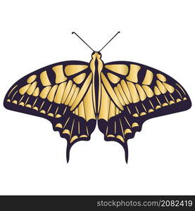 Golden symmetrical beautiful butterfly isolated vector illustration. An insect with decorated wings. Beautiful gold decoration. Golden symmetrical beautiful butterfly isolated vector illustration