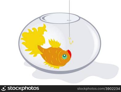 Goldfish in an aquarium looks on the hook