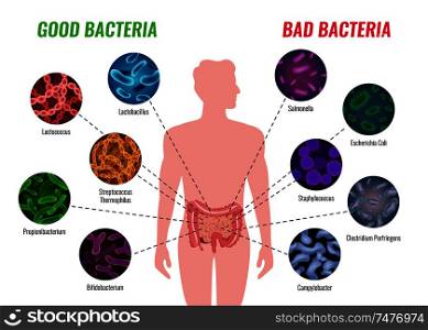 Good and bad bacteria poster with healthcare and treatment symbols flat vector illustration