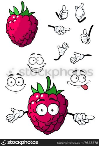 Goofy little cartoon raspberry fruit with a happy smile and green stalk isolated on white