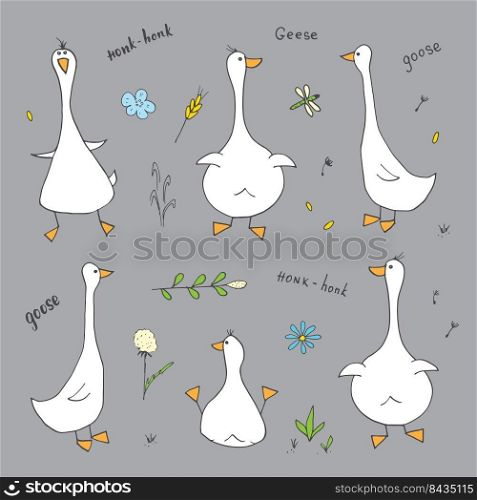 Goose Doodles Set. Cute Geese sketch. Hand drawn Cartoon Vector illustration .. Goose Doodles Set. Cute Geese sketch. Hand drawn Cartoon Vector illustration