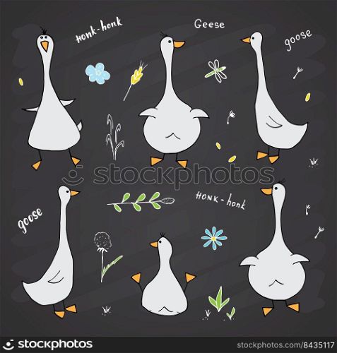 Goose Doodles Set. Cute Geese sketch. Hand drawn Cartoon Vector illustration on chalkboard background.. Goose Doodles Set. Cute Geese sketch. Hand drawn Cartoon Vector illustration on chalkboard background