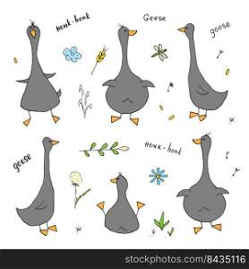Goose Doodles Set. Cute Geese sketch. Hand drawn Cartoon Vector illustration on white background .. Goose Doodles Set. Cute Geese sketch. Hand drawn Cartoon Vector illustration on white background