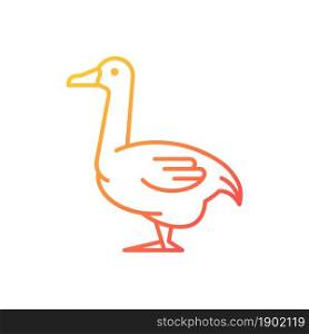 Goose gradient linear vector icon. Poultry farming. Commercial geese growing. Waterfowl. Canadian and white goose. Thin line color symbol. Modern style pictogram. Vector isolated outline drawing. Goose gradient linear vector icon