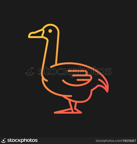 Goose gradient vector icon for dark theme. Domestic bird bred for meat. Commercial growing. Canadian and white goose. Thin line color symbol. Modern style pictogram. Vector isolated outline drawing. Goose gradient vector icon for dark theme