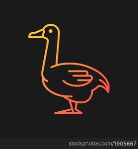 Goose gradient vector icon for dark theme. Domestic bird bred for meat. Commercial growing. Canadian and white goose. Thin line color symbol. Modern style pictogram. Vector isolated outline drawing. Goose gradient vector icon for dark theme