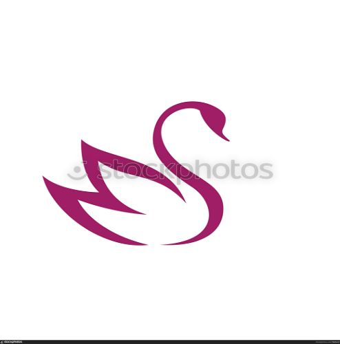 Goose icon design template vector isolated illustration