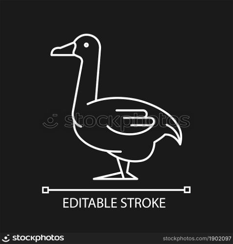 Goose linear icon for dark theme. Poultry farming. Commercial geese growing. Canadian, white goose. Thin line customizable illustration. Isolated vector contour symbol for night mode. Editable stroke. Goose linear icon for dark theme