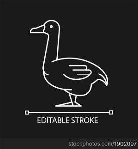 Goose linear icon for dark theme. Poultry farming. Commercial geese growing. Canadian, white goose. Thin line customizable illustration. Isolated vector contour symbol for night mode. Editable stroke. Goose linear icon for dark theme