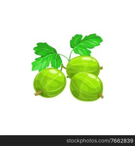 Gooseberry berries fruits, food from farm garden and wild forest, vector flat isolated icon. Gooseberries ripe harvest for jam desserts. Gooseberry berries fruits, food of garden forest