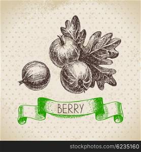 Gooseberry. Hand drawn sketch berry vintage background. Vector illustration of eco food