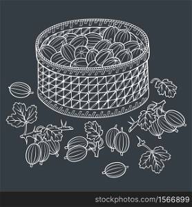 Gooseberry in basket. Cartoon vector hand drawn abstract illustration. Gooseberry in basket. Cartoon vector illustration