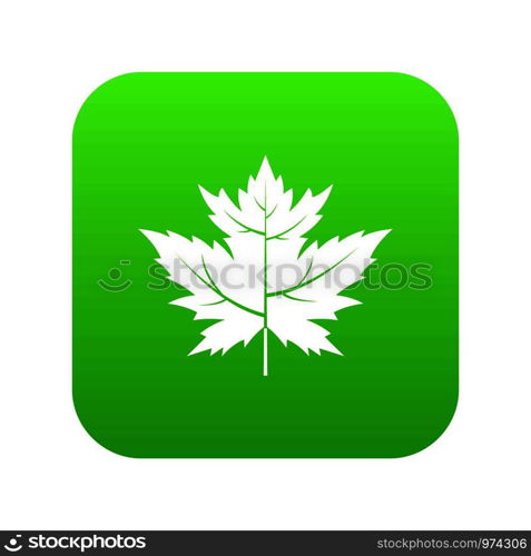 Gooseberry leaf icon digital green for any design isolated on white vector illustration. Gooseberry leaf icon digital green