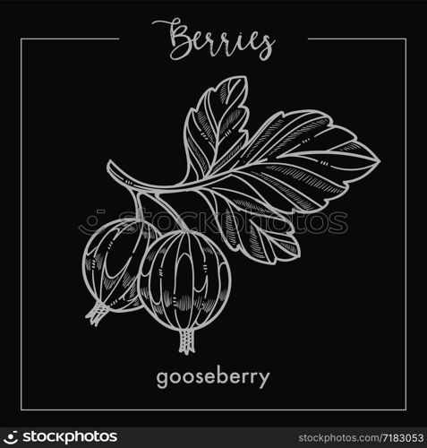 Gooseberry on branch with leaves monochrome berry sepia sketch. Delicious natural product full of vitamins on short twig from bush isolated cartoon flat vector illustration. Gooseberry on branch with leaves monochrome berry sepia sketch.