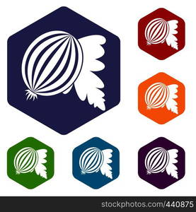 Gooseberry with leaves icons set hexagon isolated vector illustration. Gooseberry with leaves icons set hexagon