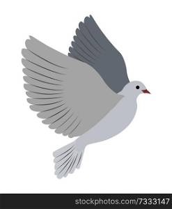 Gorgeous albino dove flies and spreads large wings isolated cartoon flat vector illustration on white background. Small bird that symbolizes love.. Gorgeous White Dove Flies and Spreads Large Wings