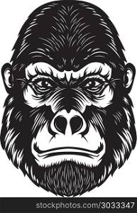 Gorilla ape head illustration on white background. Design elements for poster, emblem, sign. Vector image. Gorilla ape head illustration on white background. Design elements for poster, emblem, sign.