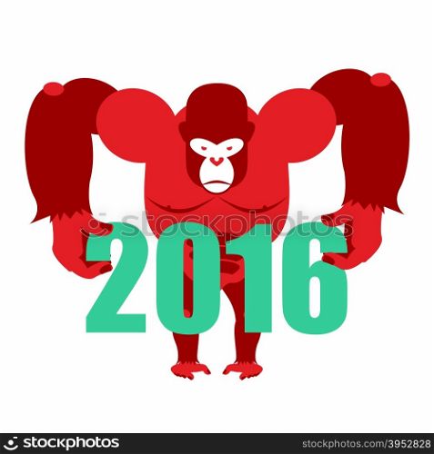 Gorilla keeps numbers 2016. Symbol of new year red monkey. Vector illustration of African animal&#xA;