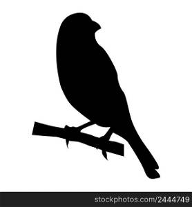 gouldian finch bird icon vector illustration design