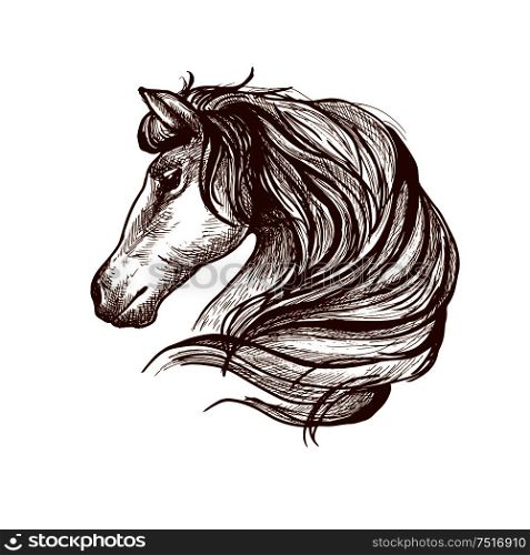 Graceful horse engraving sketch icon with profile of purebred stallion head with flowing mane. Use as equestrian sport symbol or horse club mascot design. Profile of horse with flowing mane, sketch style