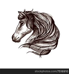 Graceful horse engraving sketch icon with profile of purebred stallion head with flowing mane. Use as equestrian sport symbol or horse club mascot design. Profile of horse with flowing mane, sketch style