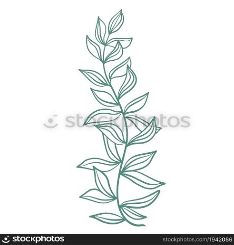 Graceful twig with leaves, botanical element vector illustration. A sketch of a branch with sheets. Natural decoration for cards, banners and templates.. Graceful twig with leaves, botanical element vector illustration.