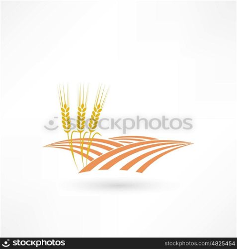 grain field icon