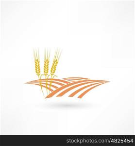grain field icon