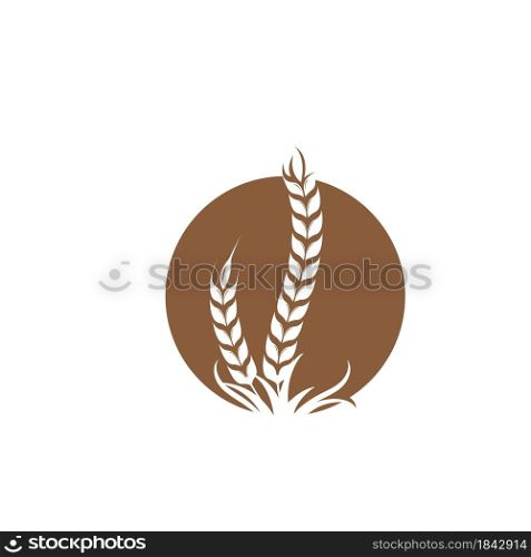 grain icon vector illustration design template web