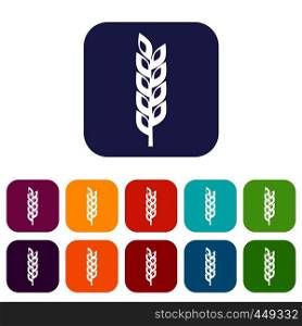 Grain spike icons set vector illustration in flat style In colors red, blue, green and other. Grain spike icons set flat