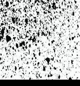 Grainy grunge abstract texture on white background. Vector splatter of calligraphy ink in on black background. Black ink blow explosion on white background. Paint spray, drop. Vector.