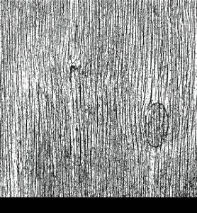 Grainy Wooden Overlay Texture for your design. EPS10 vector.