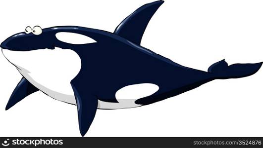 Grampus on a white background, vector illustration