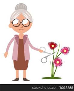 Granny cutting flowers, illustration, vector on white background.