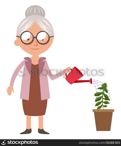 Granny watering plant, illustration, vector on white background.