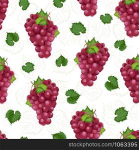 Grape bunch seamless pattern on white background with leaves and sketch, Fresh organic food, Red grapes pattern background, Fruit vector illustration.
