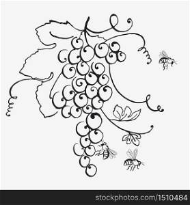 grape bunch sketch for wine label or poster. vector hand drawn illustration