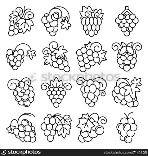 Grape fruit icon set. Outline set of grape fruit vector icons for web design isolated on white background. Grape fruit icon set, outline style