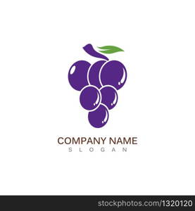 Grape fruit logo flat vector template icon illustration design