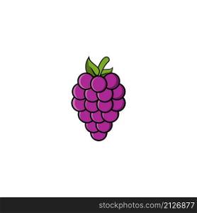 Grape fruits icon vector design templates on white background
