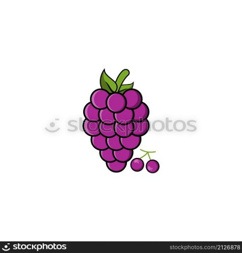 Grape fruits icon vector design templates on white background