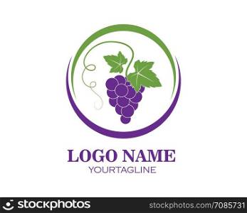 Grape fruits with leaf icon vector illustrtion template