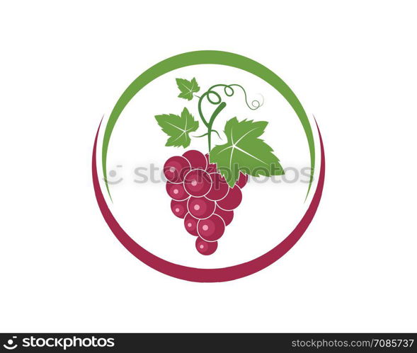 Grape fruits with leaf icon vector illustrtion template