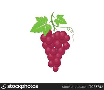 Grape fruits with leaf icon vector illustrtion template