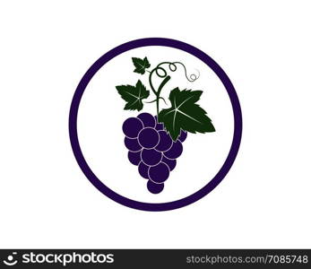 Grape fruits with leaf icon vector illustrtion template