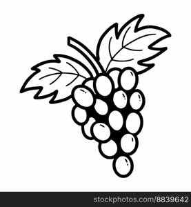 Grape. Hand drawn black and white sketch. Vector doodle illustration. 