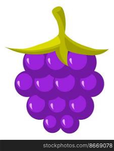 Grape icon. Juicy berries cluster. Wine fruit isolated on white background. Grape icon. Juicy berries cluster. Wine fruit
