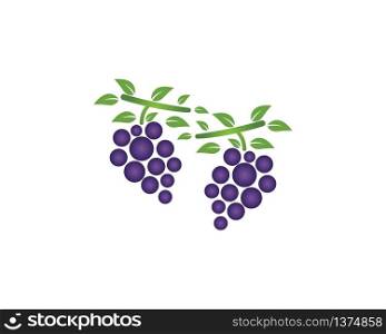 Grape icon logo template vector