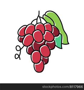 grape juice berry color icon vector. grape juice berry sign. isolated symbol illustration. grape juice berry color icon vector illustration