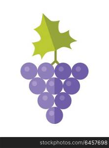 Grape vector in flat style design. Fruit illustration for conceptual banners, icons, mobile app pictogram, infographic, and logotype element. Isolated on white background. . Grape Vector Illustration In Flat Style Design.